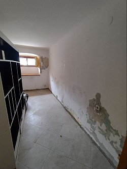 Obnova zidova